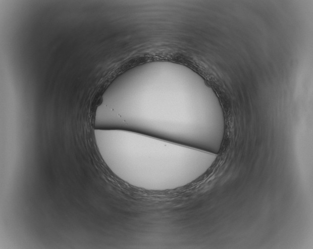 X0000111811010200907231011