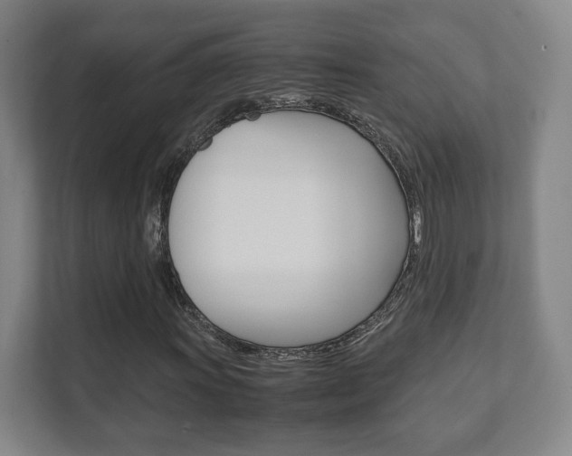X0000111811011200907231011