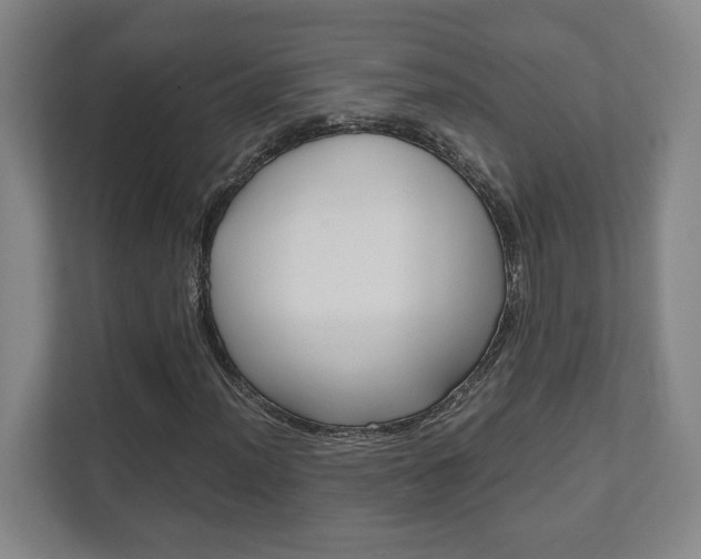 X0000111811012200907231011
