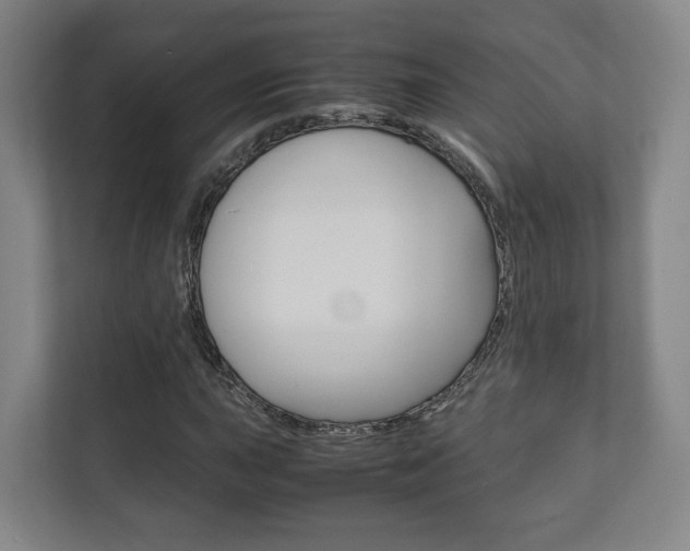 X0000111811015200907231011