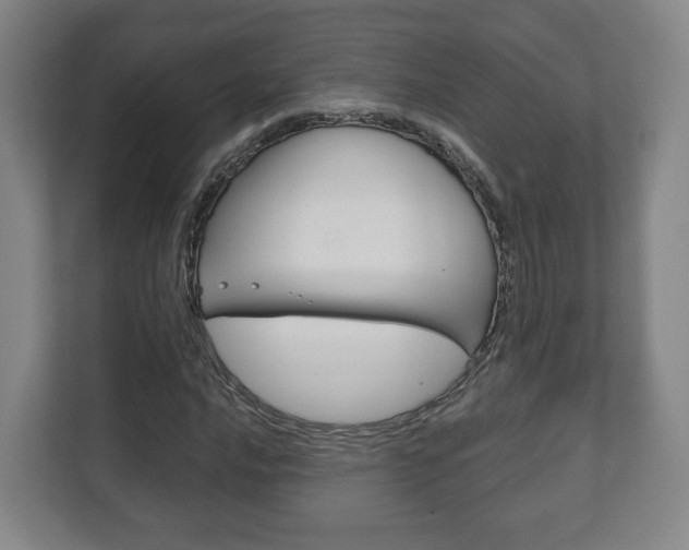 X0000111811016200907231011