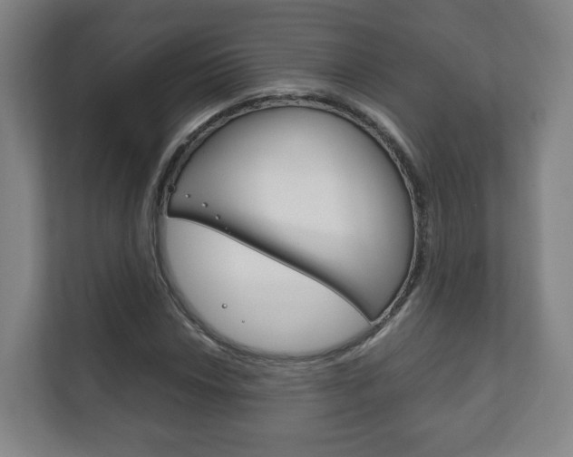 X0000111811018200907231011