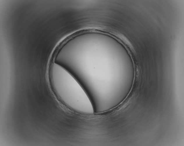 X0000111811020200907231011
