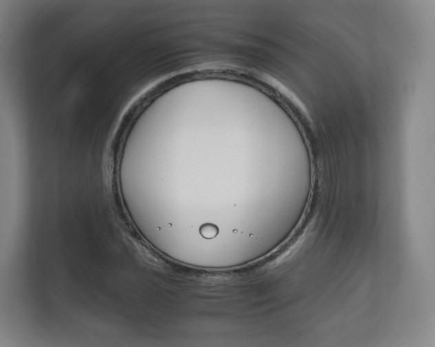 X0000111811021200907231011