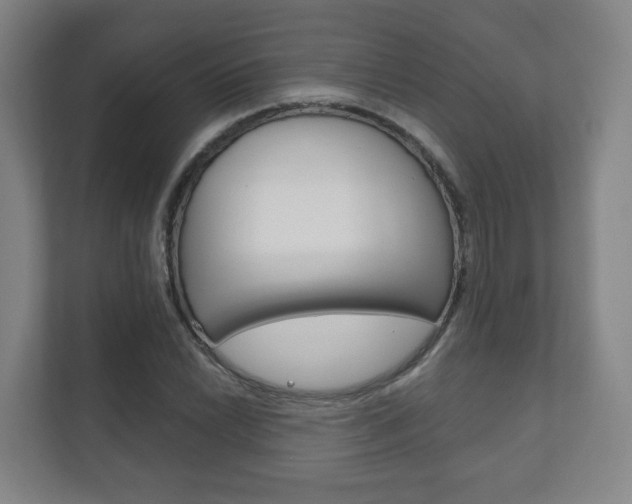 X0000111811022200907231011