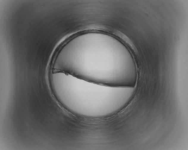 X0000111811024200907231011