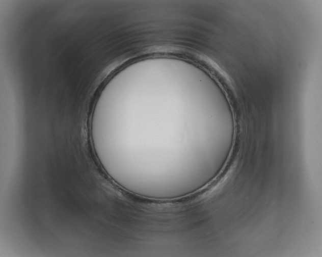 X0000111811025200907231011