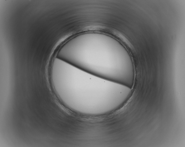 X0000111811026200907231011