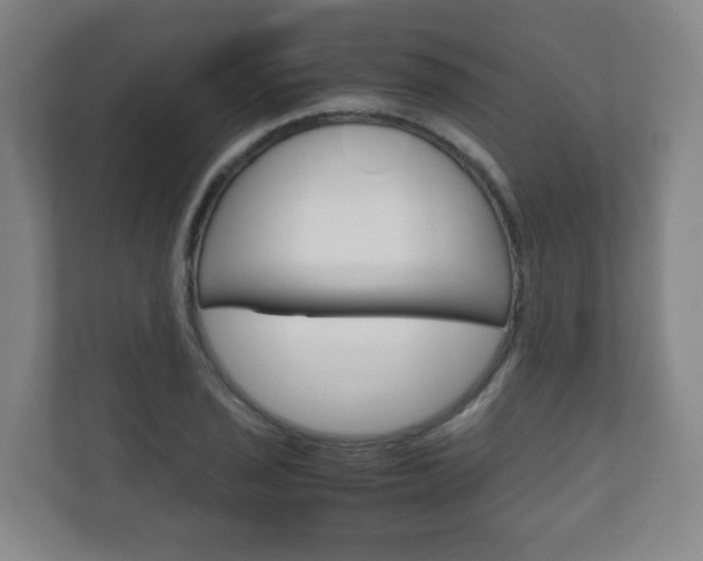 X0000111811029200907231011
