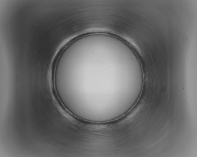 X0000111811030200907231011
