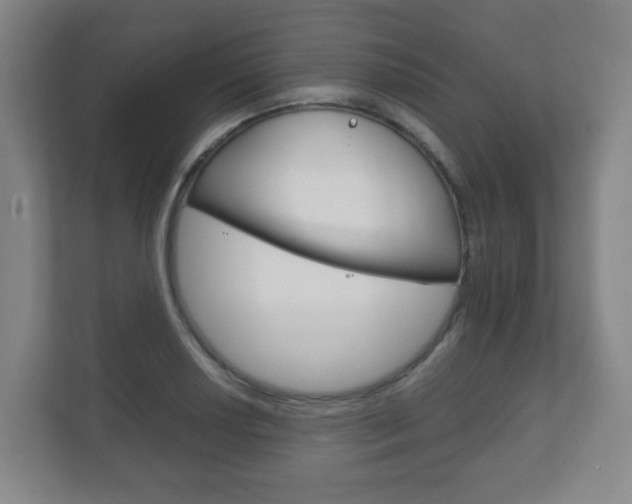 X0000111811034200907231011