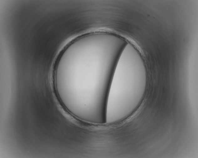 X0000111811038200907231012