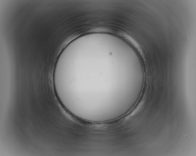 X0000111811041200907231012