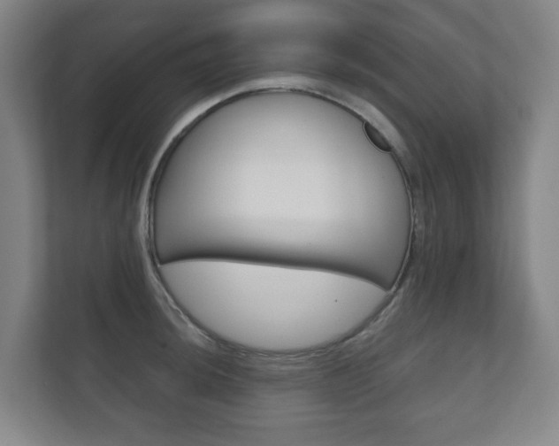 X0000111811044200907231012