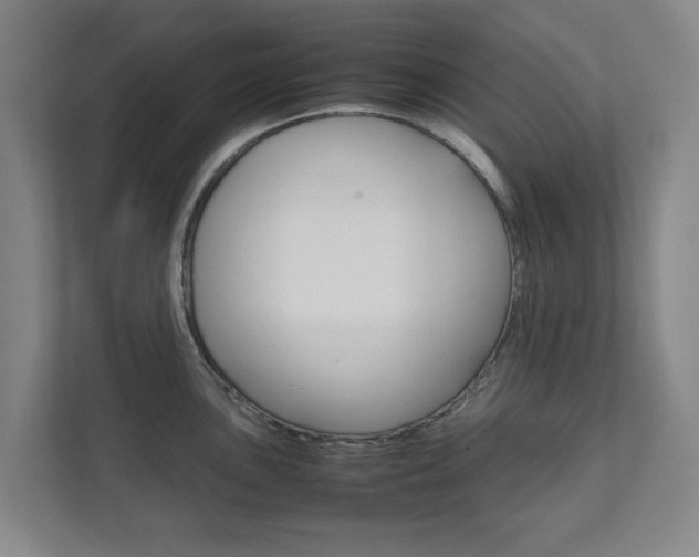 X0000111811051200907231012