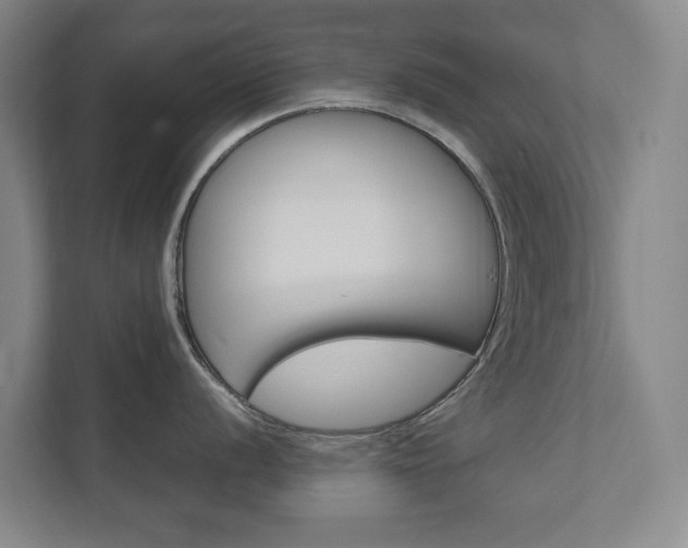 X0000111811056200907231012