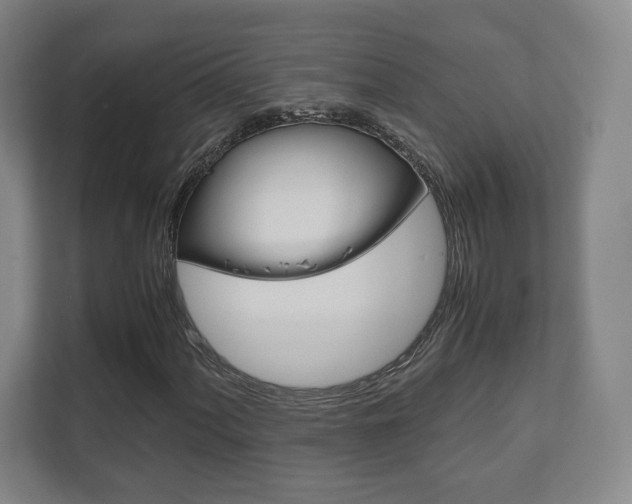 X0000111811060200907231011
