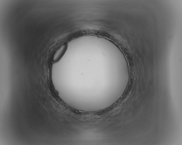 X0000111811061200907231011