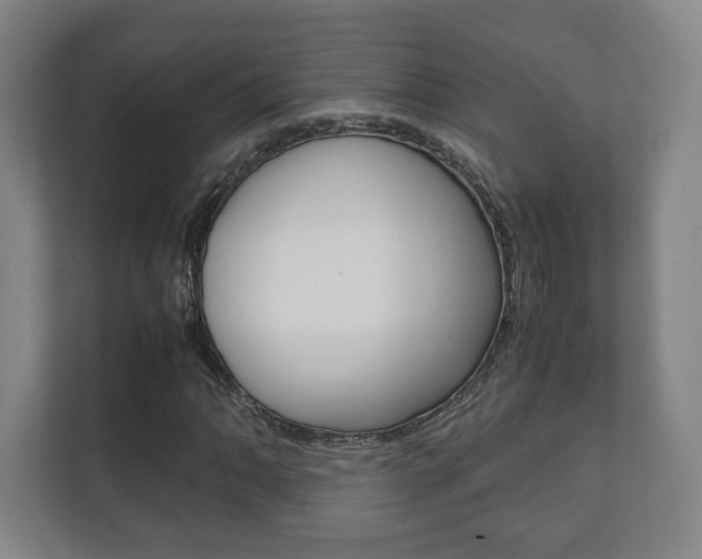 X0000111811062200907231011