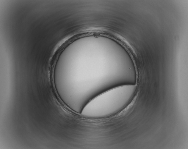 X0000111811066200907231011