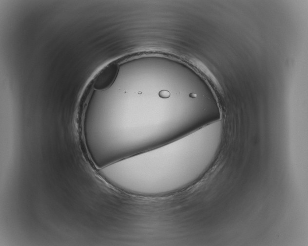 X0000111811068200907231011