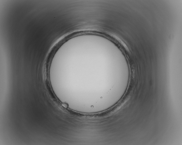 X0000111811069200907231011