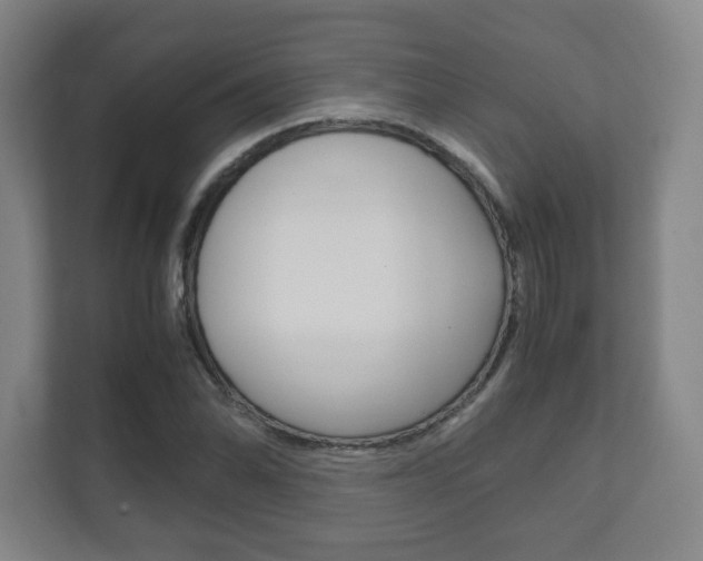 X0000111811070200907231011