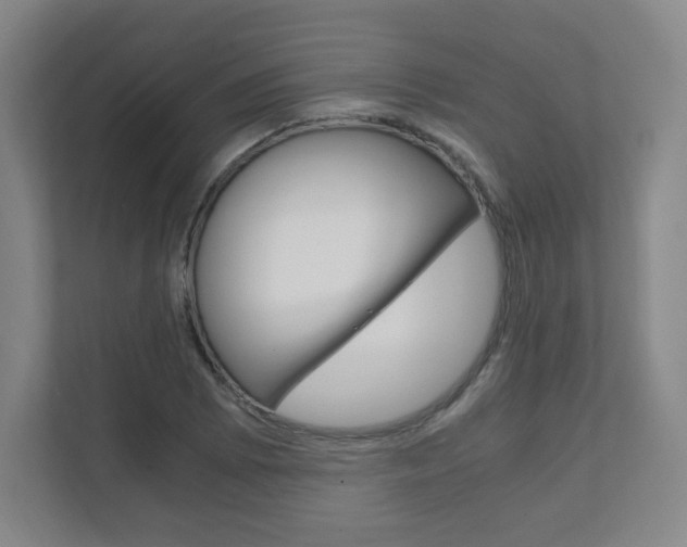 X0000111811073200907231011