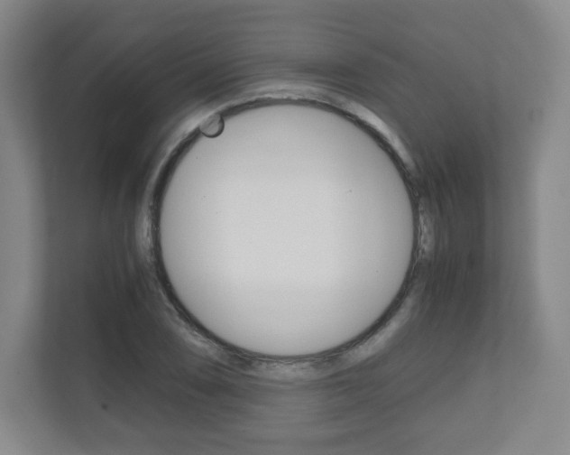 X0000111811074200907231011
