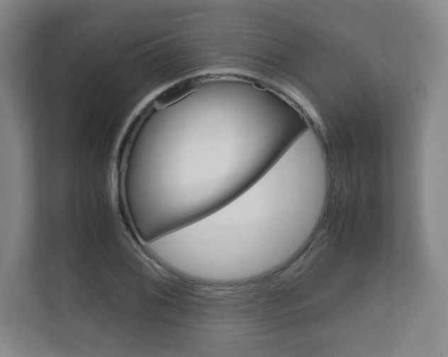 X0000111811076200907231011