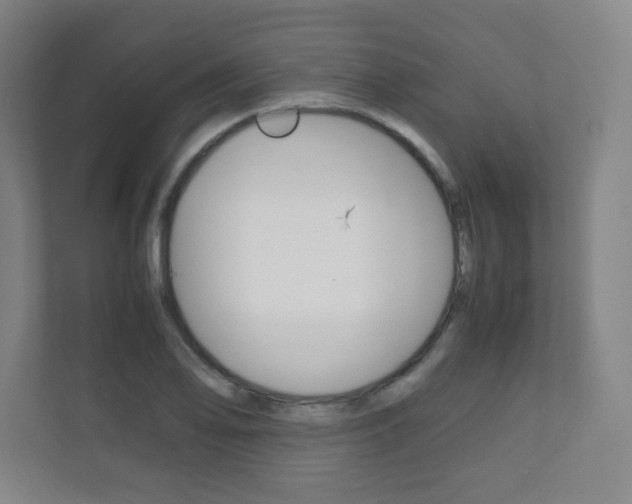 X0000111811078200907231011
