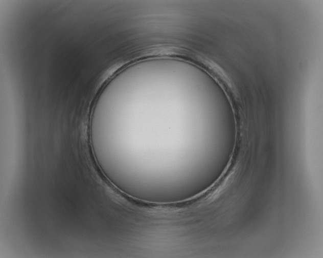 X0000111811081200907231011