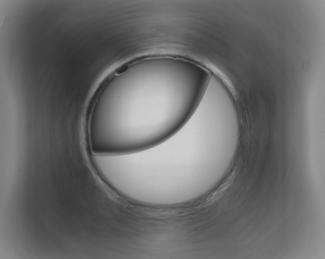 X0000111811085200907231011