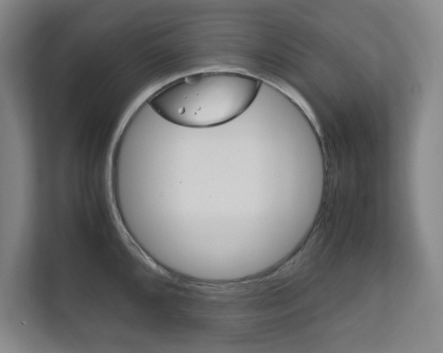X0000111811096200907231011