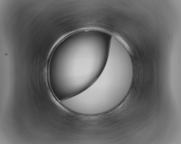 X0000111811100200907231011