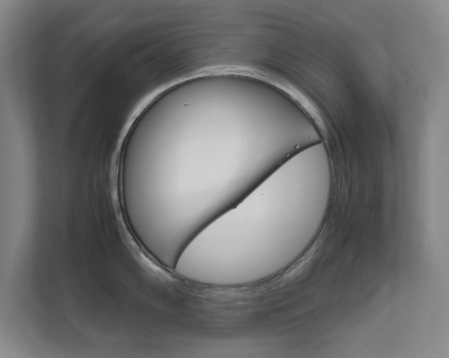 X0000111811102200907231011