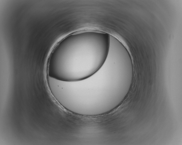 X0000111811104200907231011