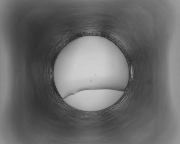 X0000111811107200907231010