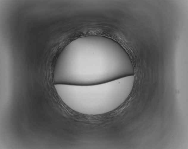 X0000111811109200907231010