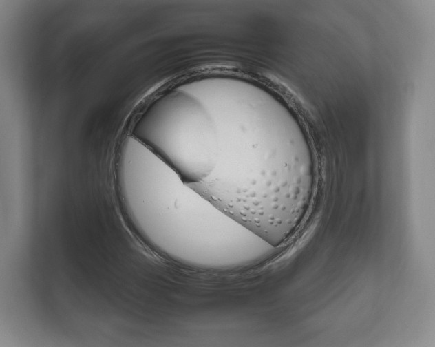 X0000111811113200907231010