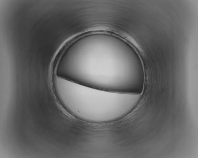 X0000111811116200907231010