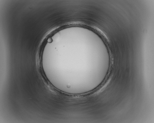 X0000111811117200907231010