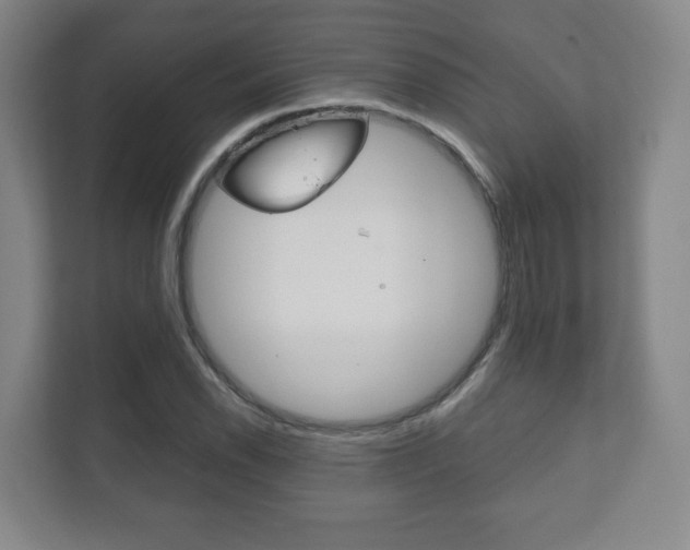 X0000111811118200907231010
