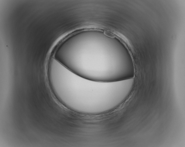 X0000111811120200907231010