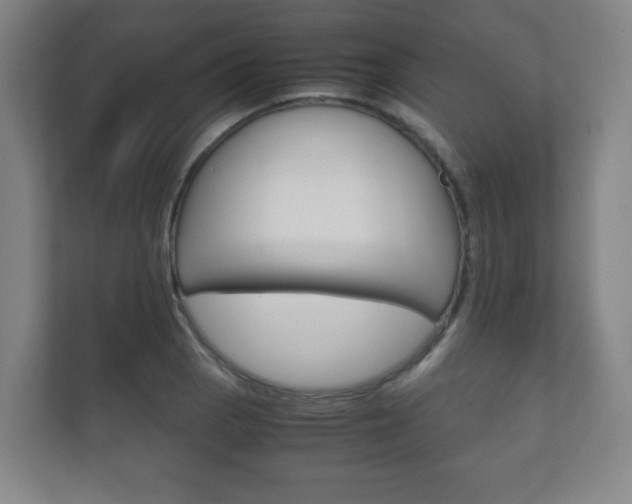 X0000111811129200907231010