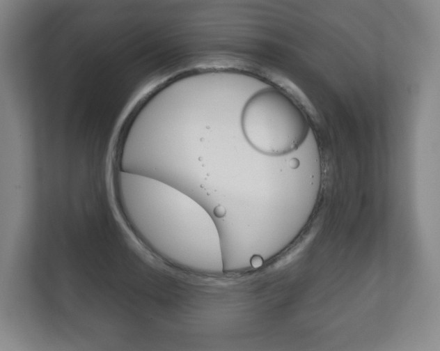 X0000111811130200907231010