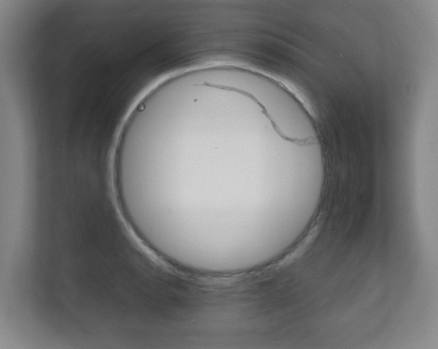 X0000111811134200907231010
