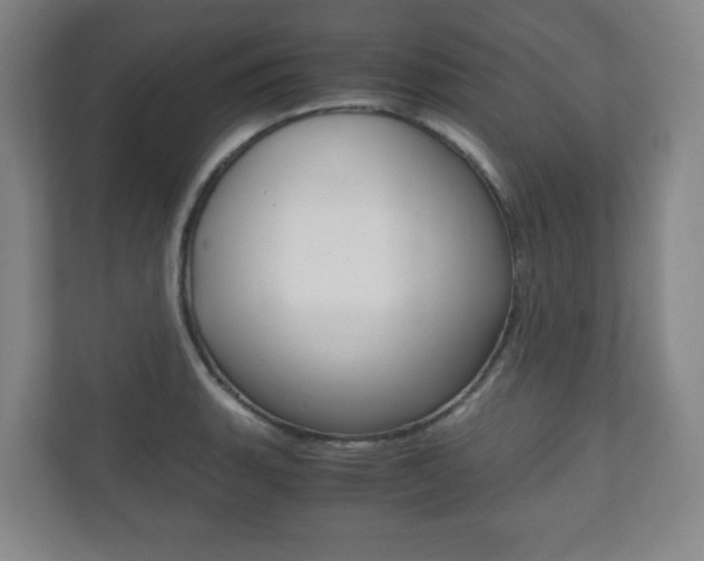 X0000111811135200907231010