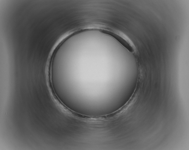 X0000111811138200907231010
