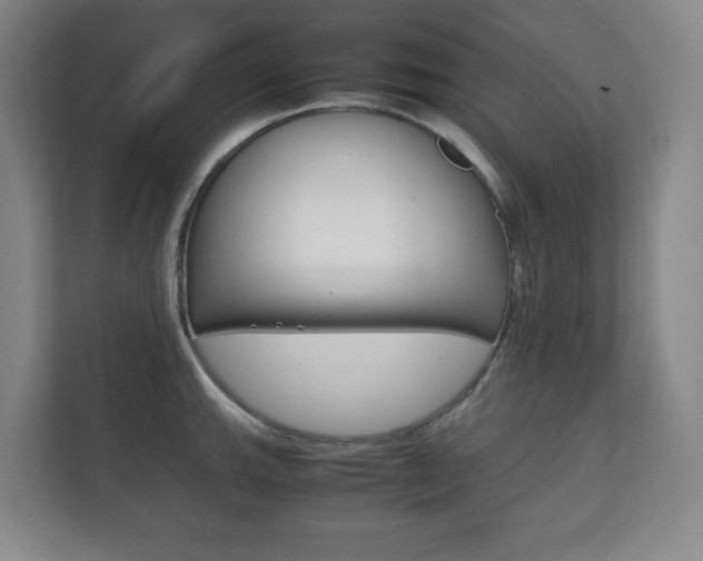 X0000111811143200907231010
